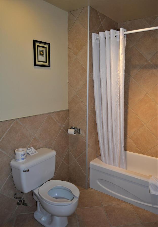Motel Quatre Saisons Forestville Exterior foto